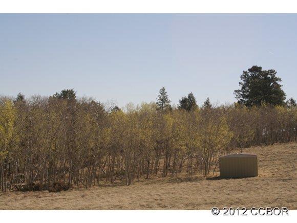 8249 Ranch Road Hartsel, CO 80449 - Photo 1 of 1 Gallery Image 1