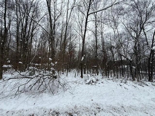 $74,000 | Lt41 Zephyr Road, Plymouth, WI 53073