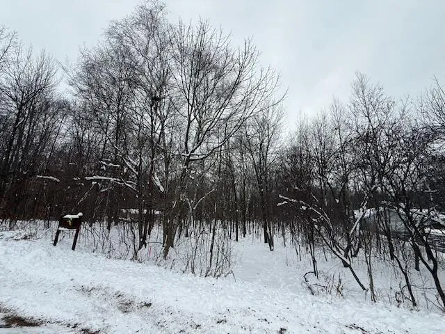 $74,000 | Lt41 Zephyr Road, Plymouth, WI 53073