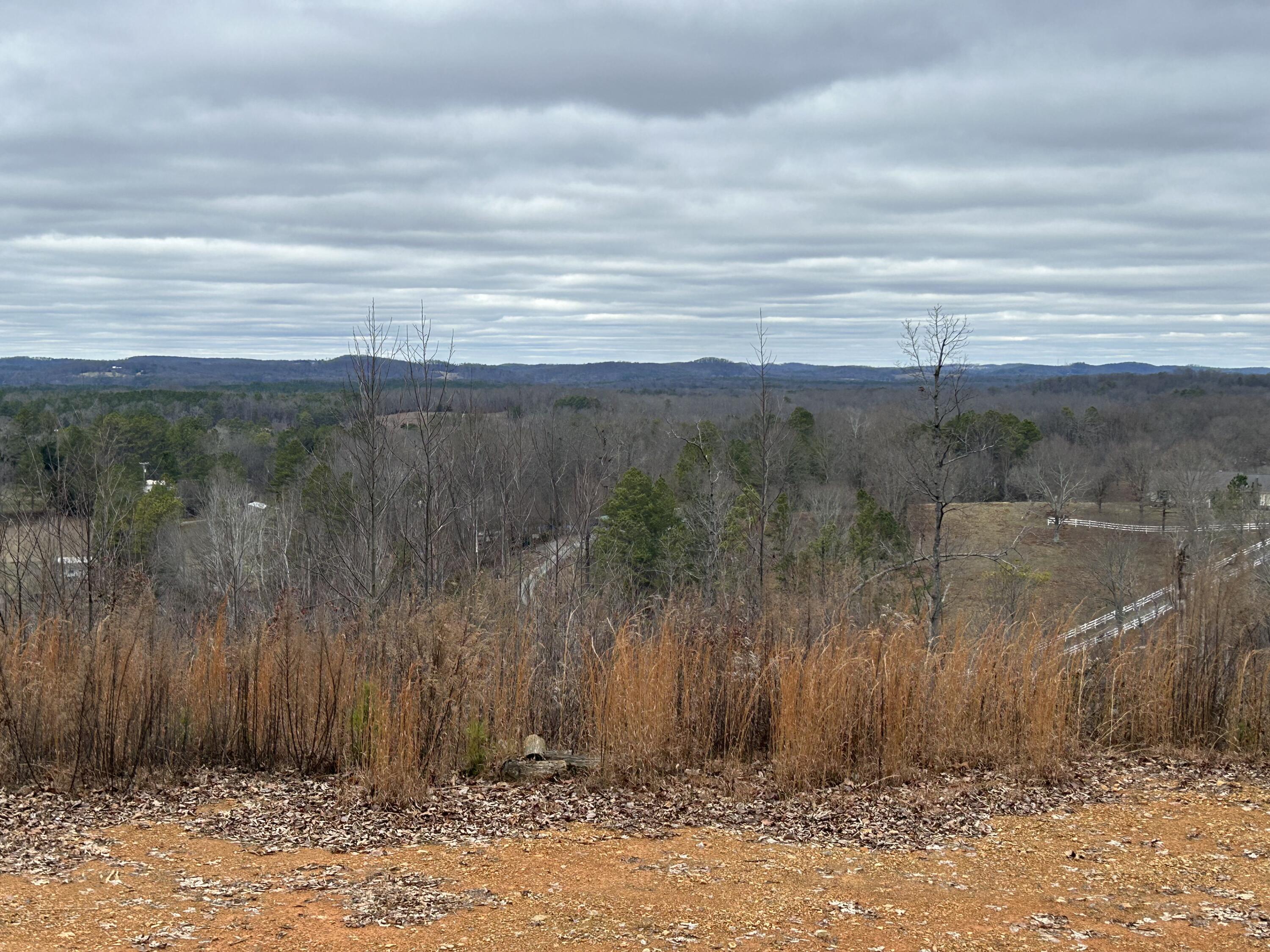 0 East Emerson Road Cohutta, GA 30710 - Photo 4 of 19 IMG_1097