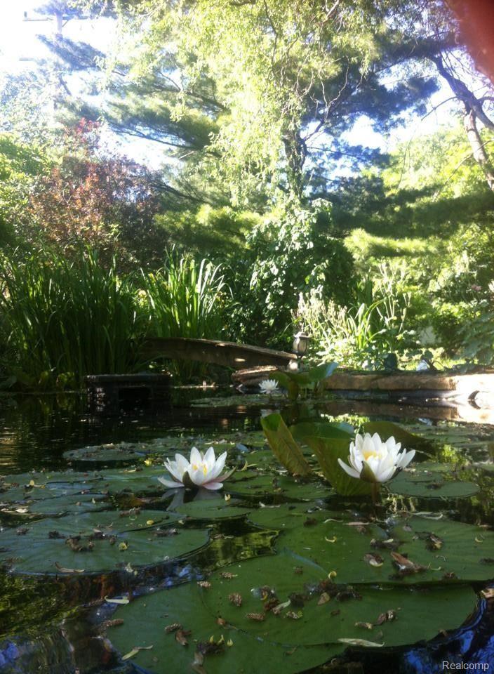 7321 West Road Washington, MI 48094 - Photo 26 of 28 pond4.jpg
