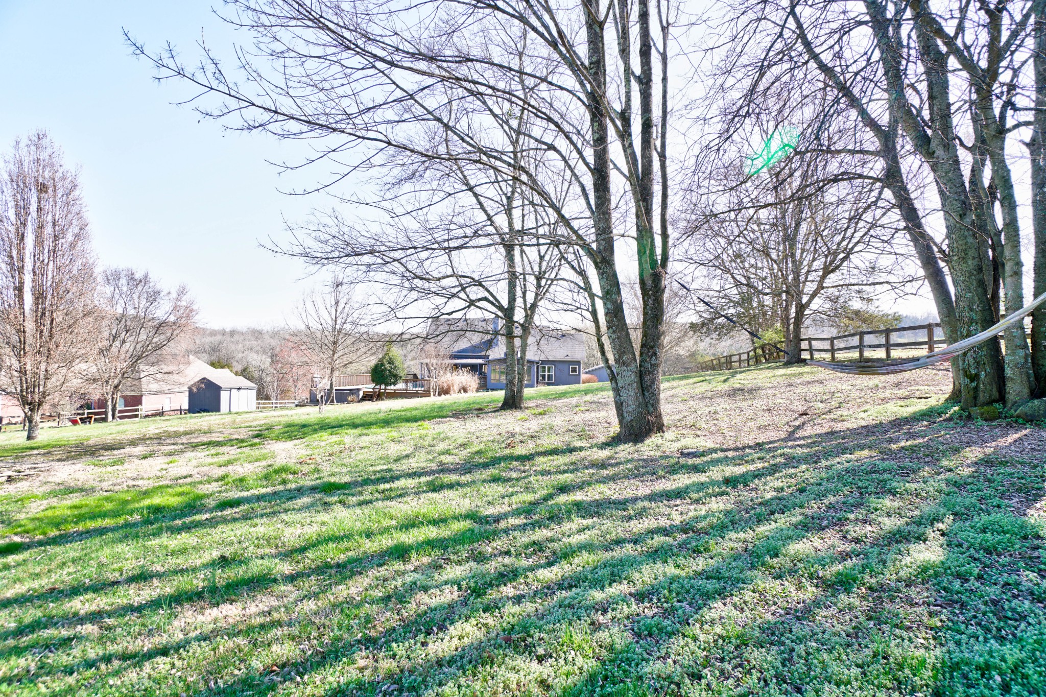 5871 Cane Ridge Road Antioch, TN 37013 - Photo 39 of 40 a view of a yard with a tree