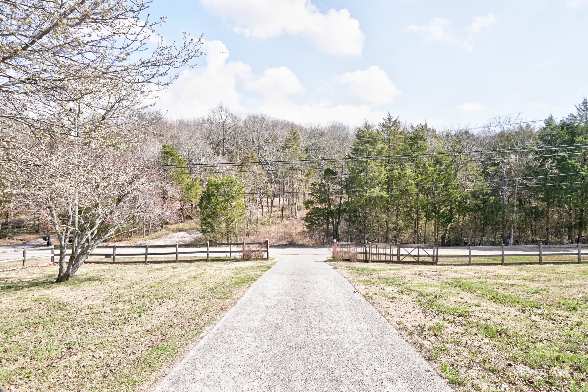 5871 Cane Ridge Road Antioch, TN 37013 - Photo 40 of 40 a view of pathway with yard