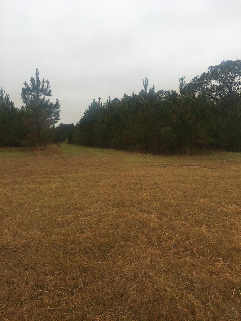 0 Avon Road Ashford, AL 36312 - Photo 4 of 4
