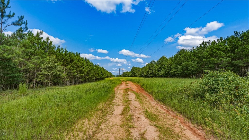 0 Harry Priddy Road Americus, GA 31719 - Photo 30 of 36 Gallery Image 30