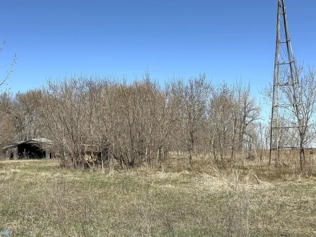 $165,000 | 1231 Cr-124, Borup, MN 56519