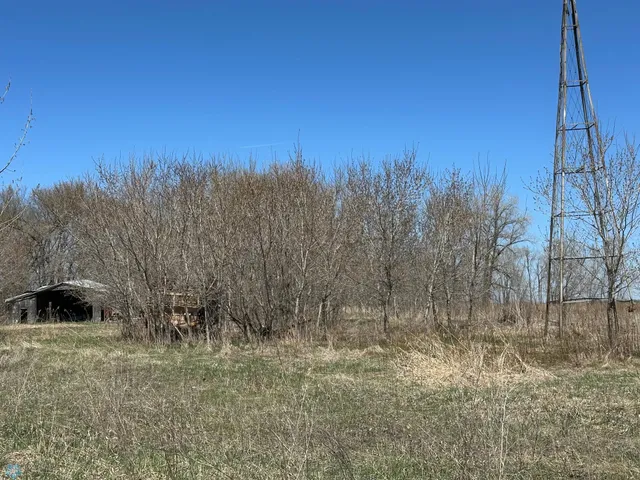 $165,000 | 1231 Cr-124, Borup, MN 56519