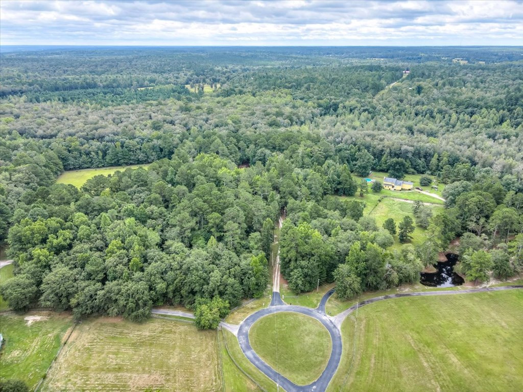 148 Twin Creek Farm Road Aiken, SC 29805 - Photo 57 of 62