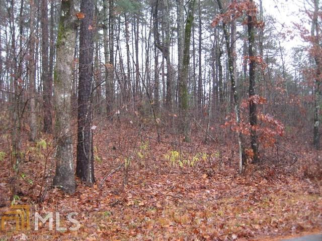21 Spider Valley Road Long Creek, SC 29658 - Photo 1 of 1 Gallery Image 1