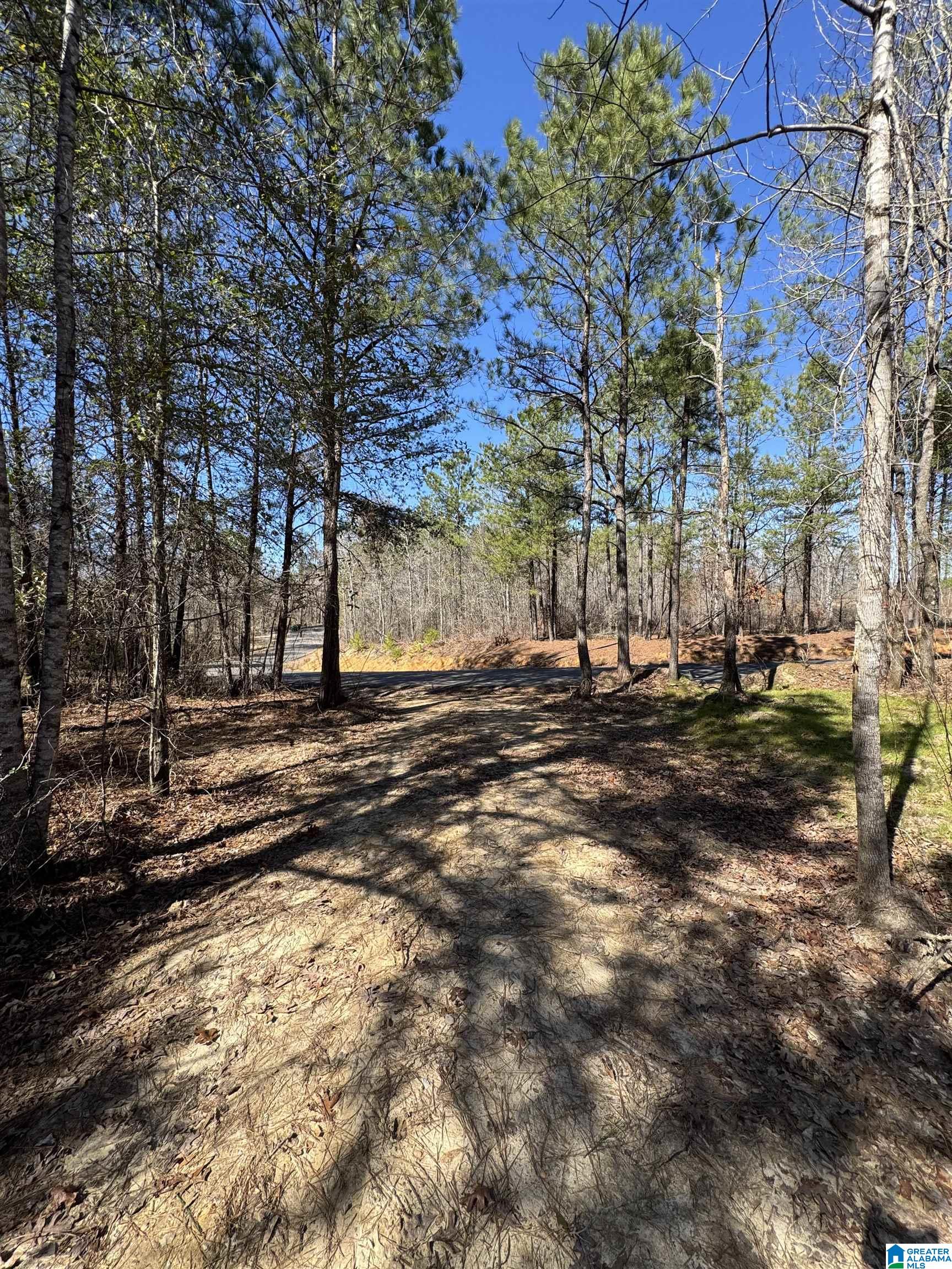 19063 Westside Road, Unit 6 Brookwood, AL 35444 - Photo 2 of 25