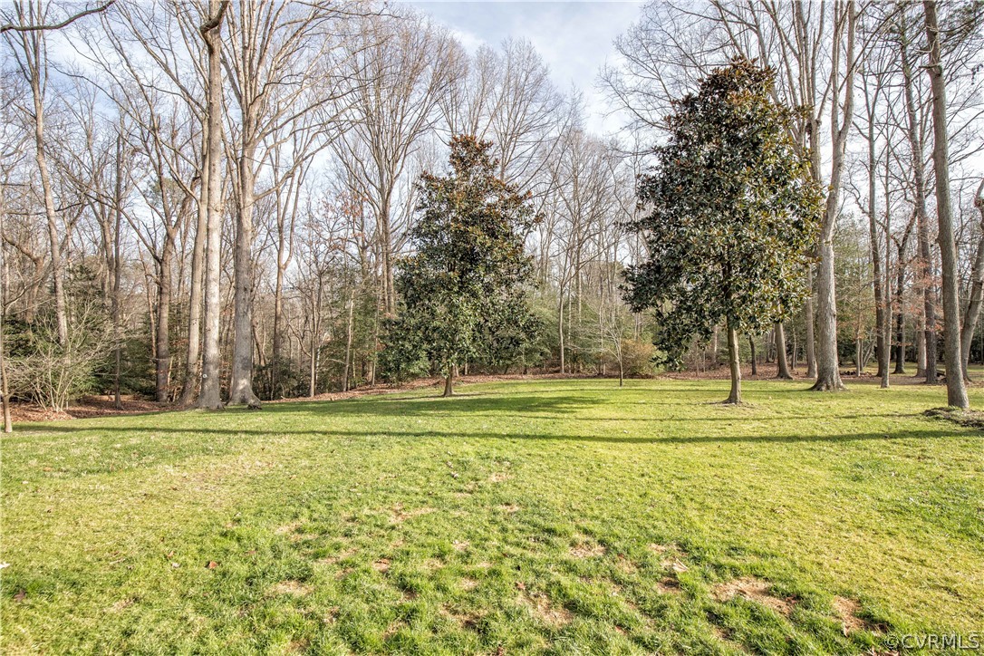 12905 Rivers Bend Road Chester, VA 23836 - Photo 27 of 27 What a fabulous yard!!