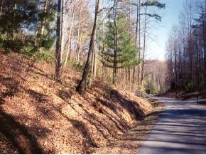 4 Poplar Road Unicoi, TN 37692 - Photo 1 of 2 Photo 1