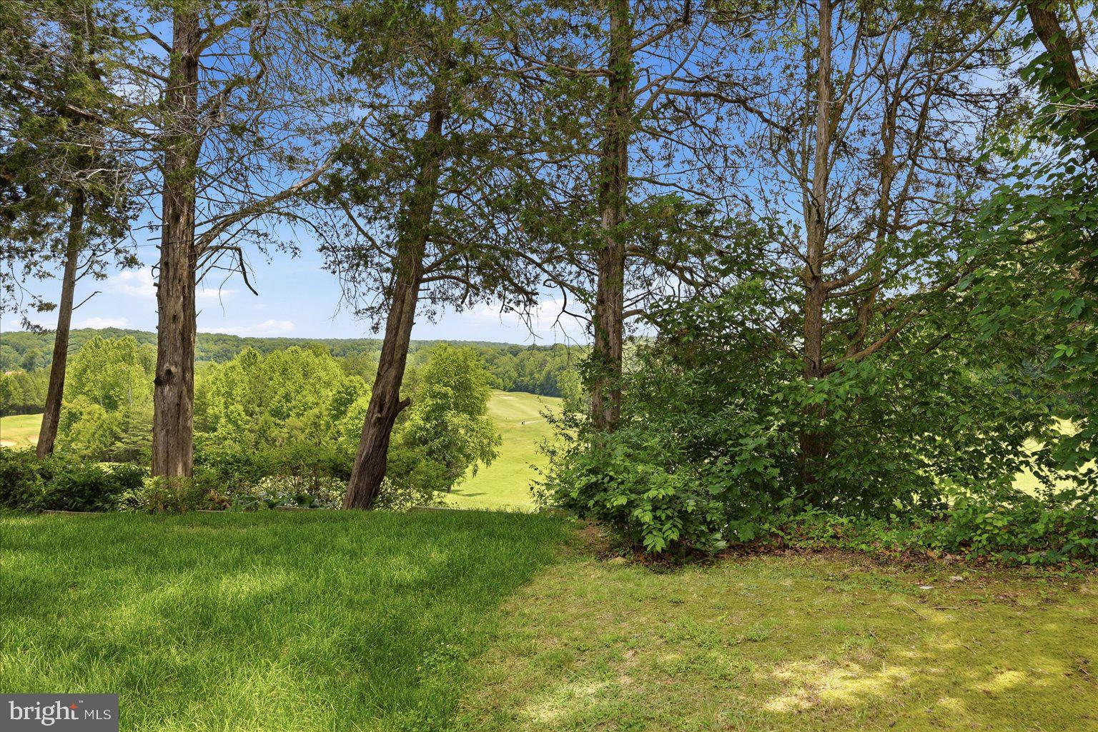 35464 Somerset Ridge Road Locust Grove, VA 22508 - Photo 21 of 30