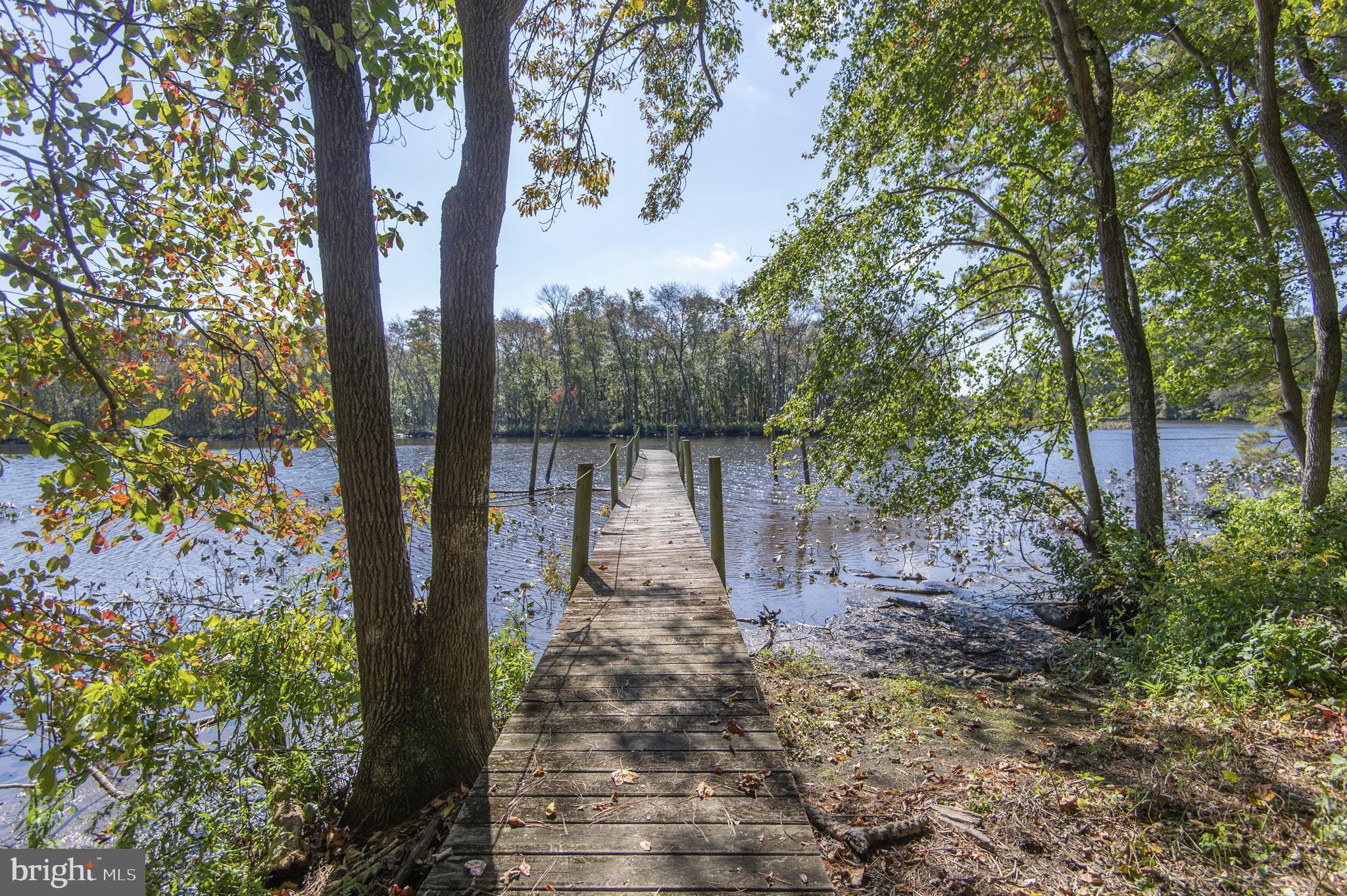 5239 River Road Hurlock, MD 21643 - Photo 1 of 86 Gallery Image 1