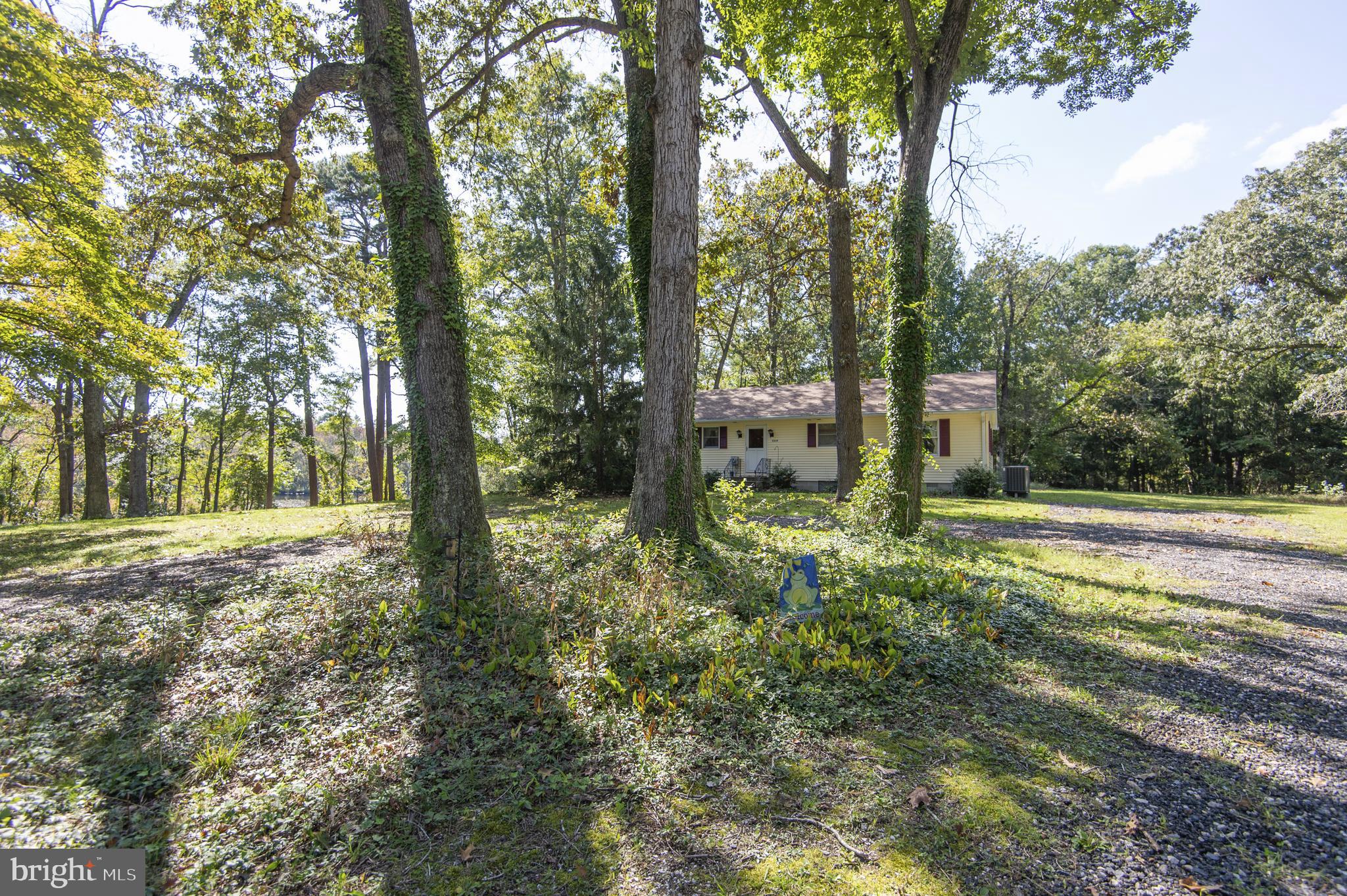 5239 River Road Hurlock, MD 21643 - Photo 11 of 86 Gallery Image 11