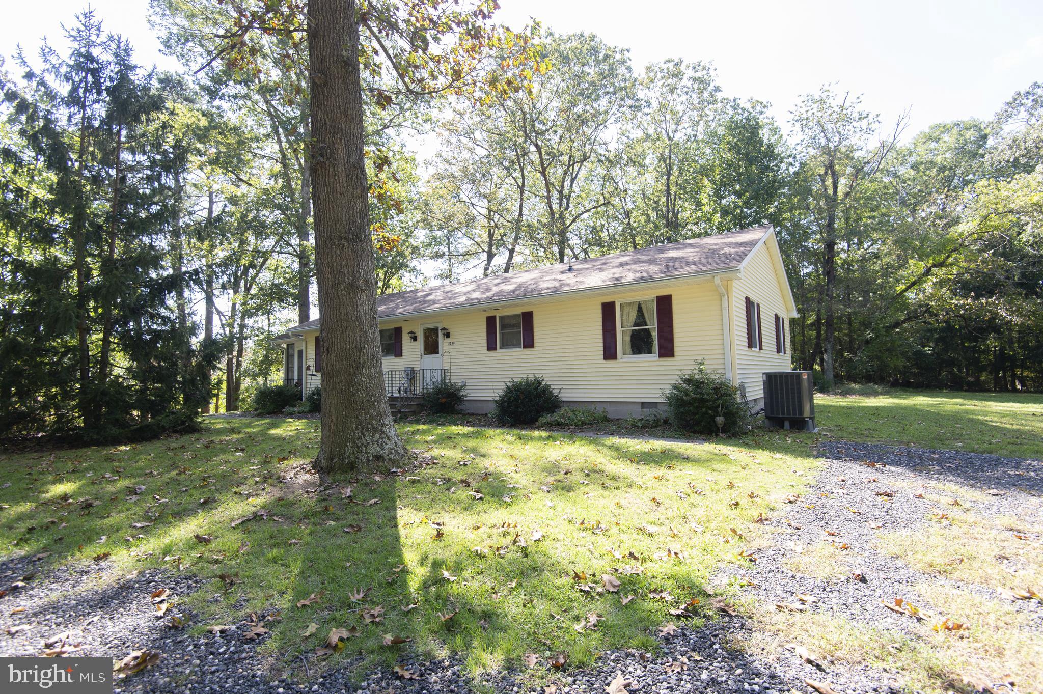5239 River Road Hurlock, MD 21643 - Photo 12 of 86 Gallery Image 12