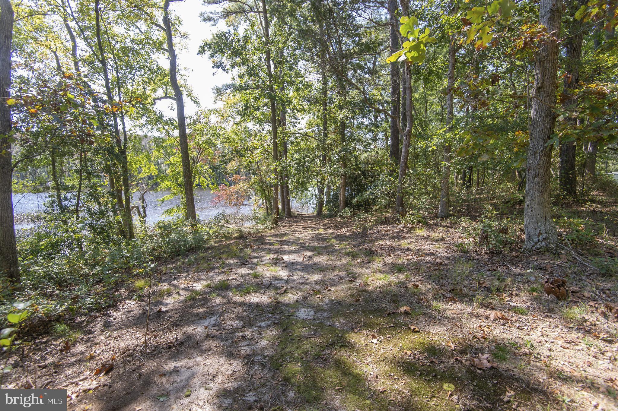 5239 River Road Hurlock, MD 21643 - Photo 16 of 86 Gallery Image 16