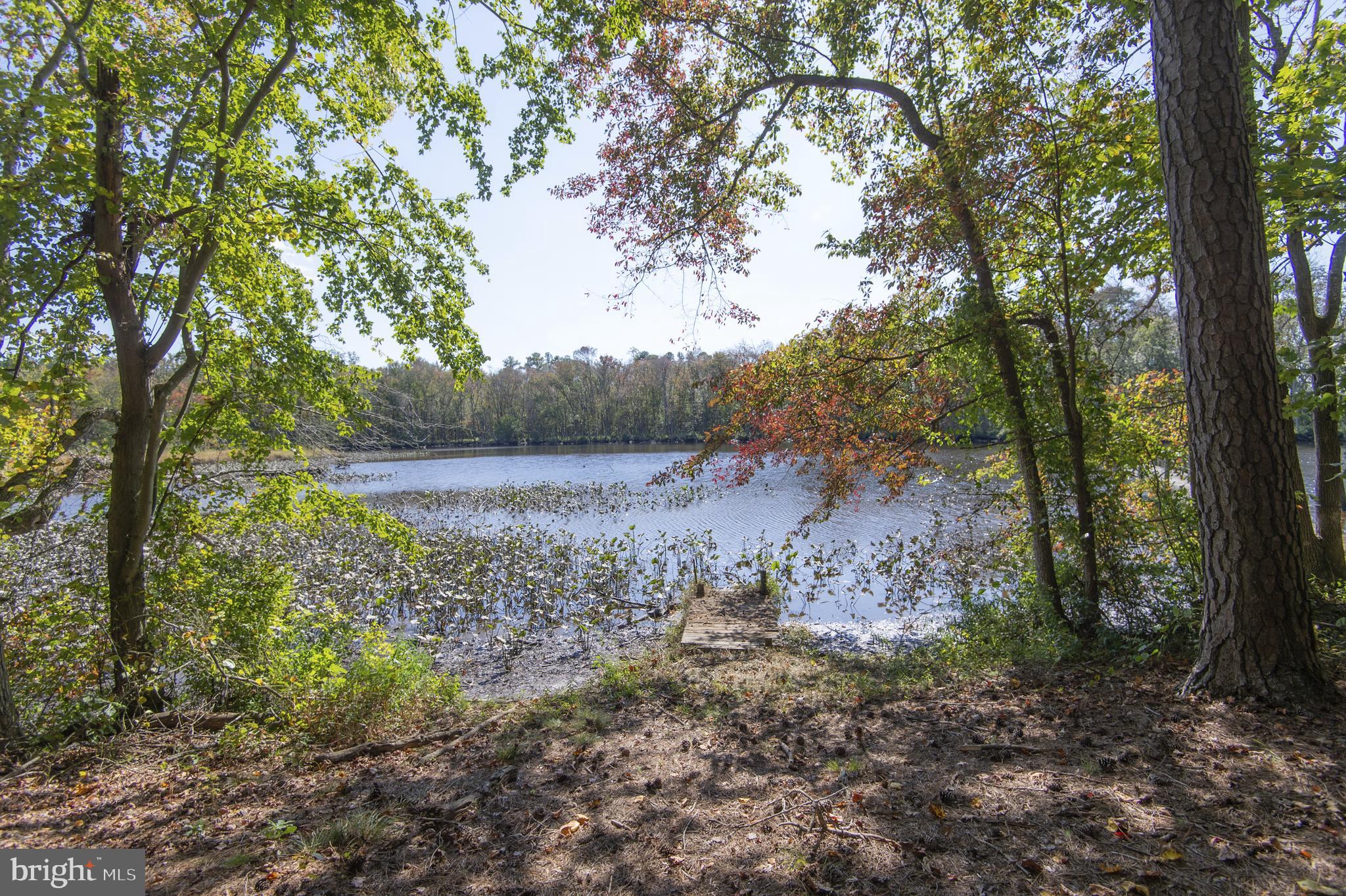 5239 River Road Hurlock, MD 21643 - Photo 17 of 86 Gallery Image 17