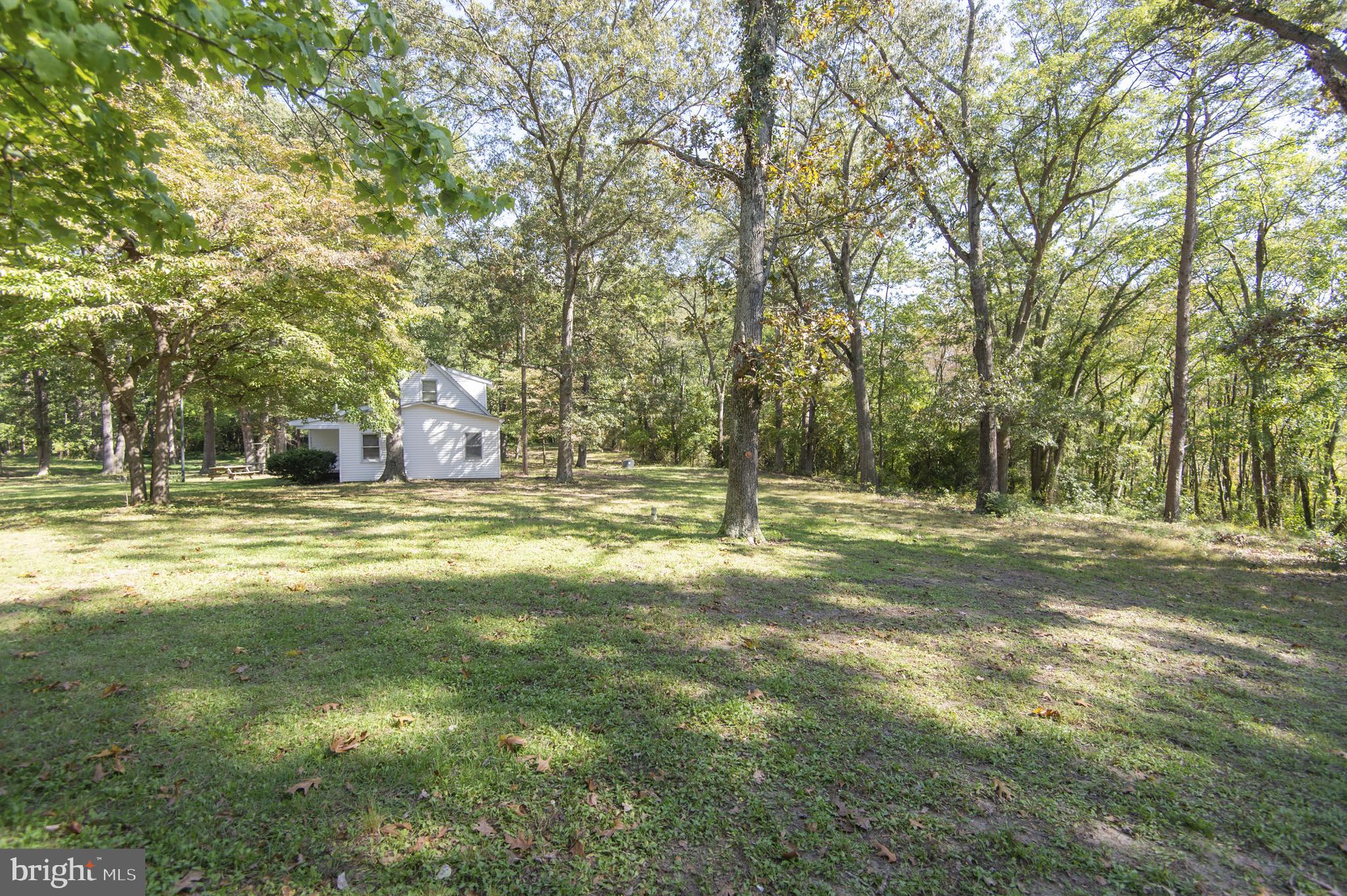 5239 River Road Hurlock, MD 21643 - Photo 50 of 86 Gallery Image 50