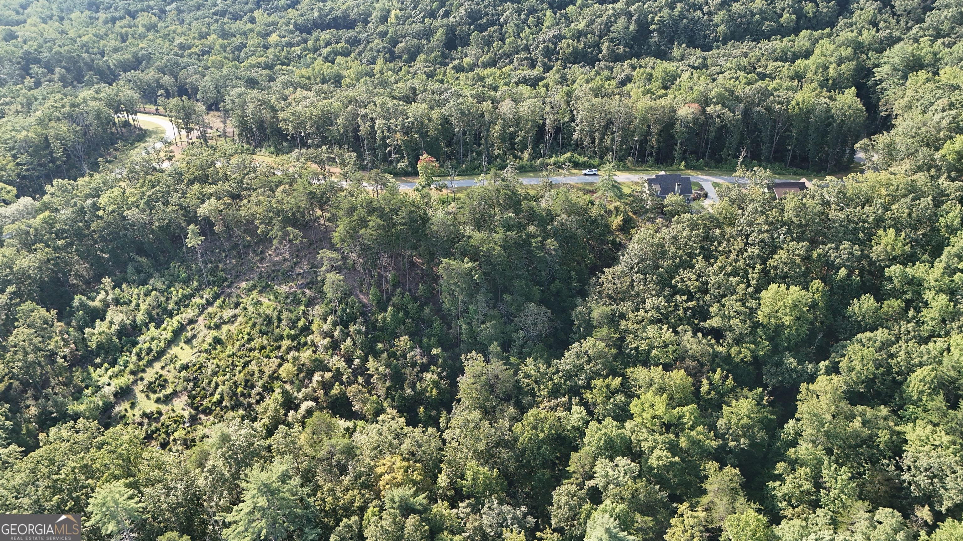 0 Waterfall Lane Sautee Nacoochee, GA 30571 - Photo 12 of 12 a view of a forest with a tree