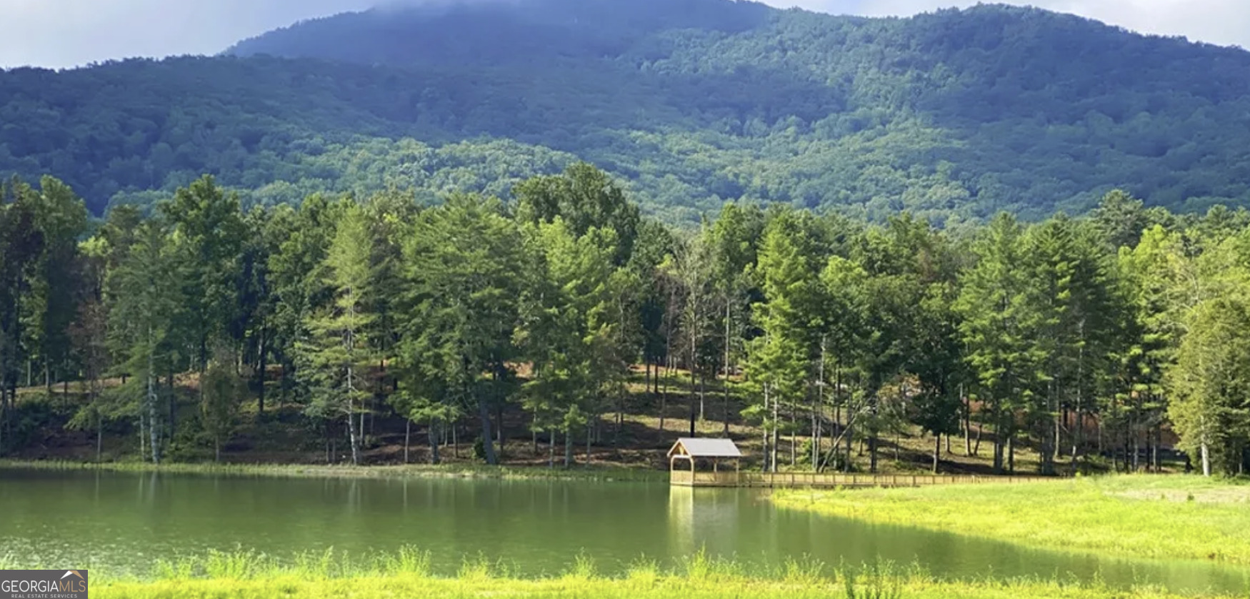 0 Waterfall Lane Sautee Nacoochee, GA 30571 - Photo 3 of 12 a view of a swimming pool with a yard and large trees
