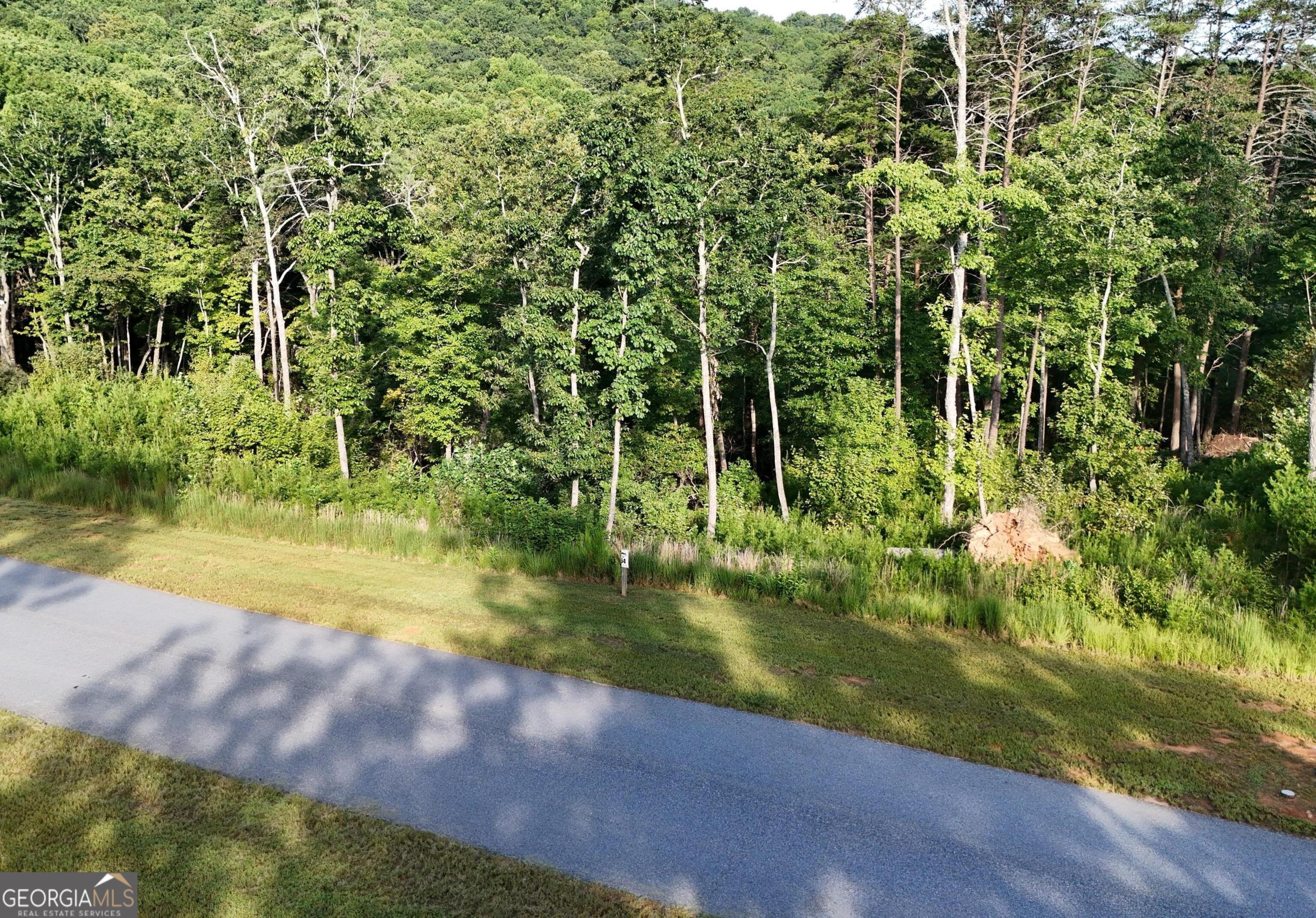 0 Waterfall Lane Sautee Nacoochee, GA 30571 - Photo 8 of 12 a view of yard