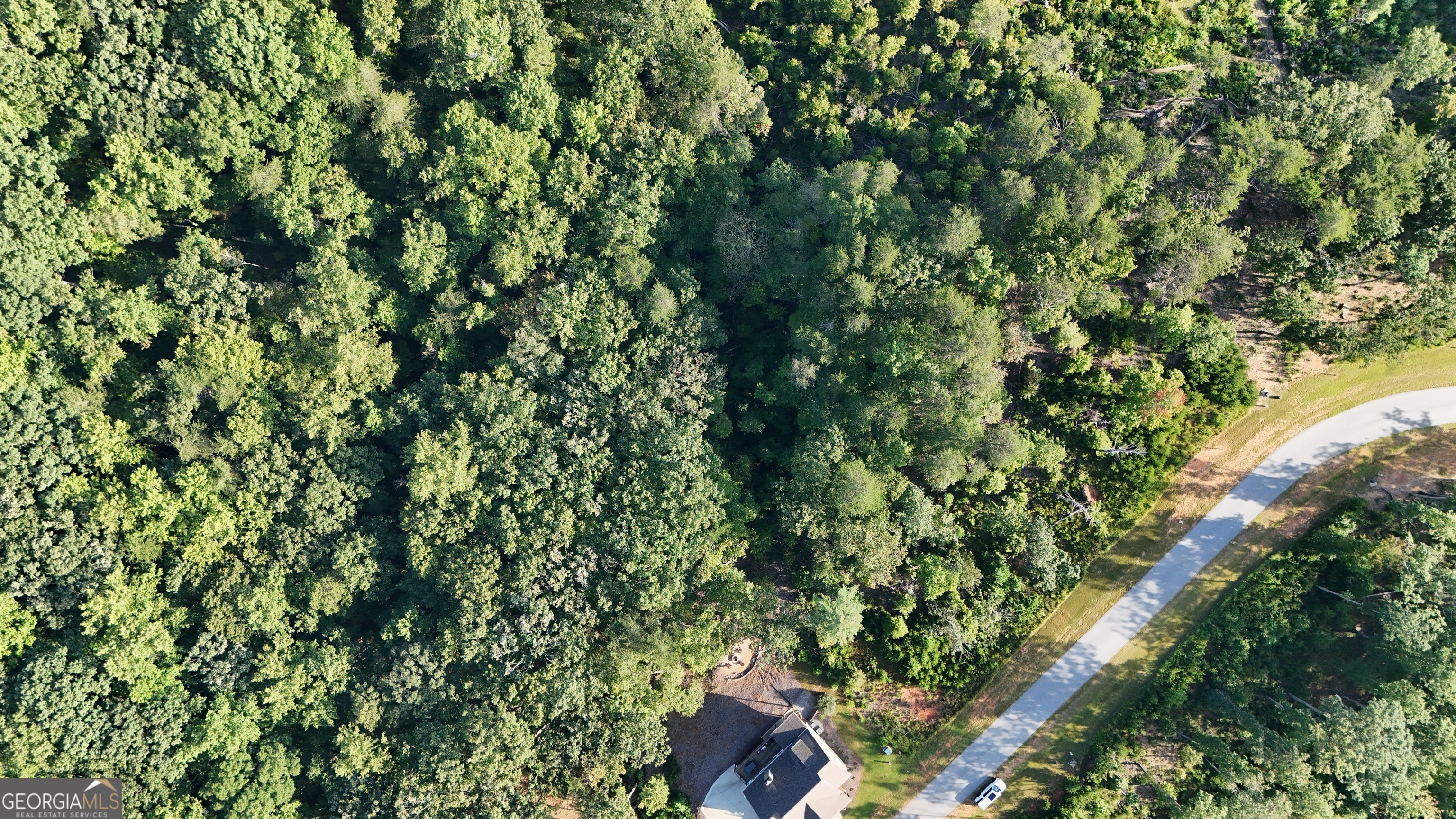 0 Waterfall Lane Sautee Nacoochee, GA 30571 - Photo 10 of 12 a view of a lush green forest