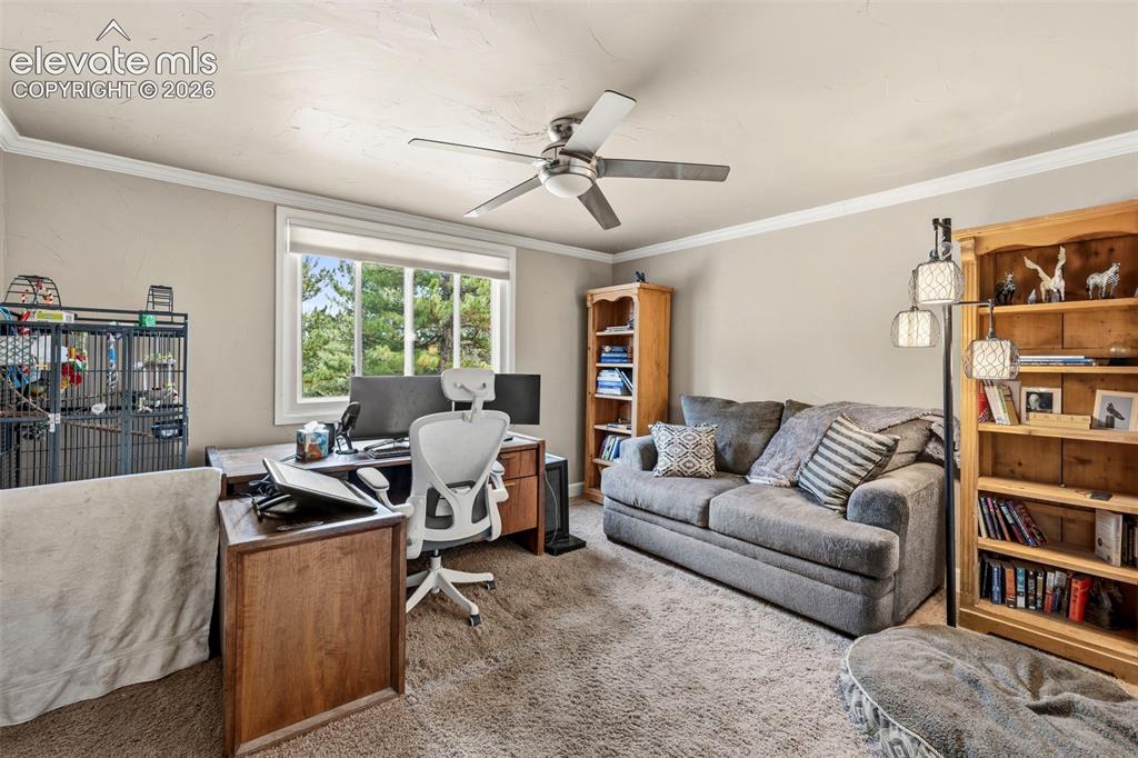12715 Roundup Road Parker, CO 80138 - Photo 18 of 47 Gallery Image 18