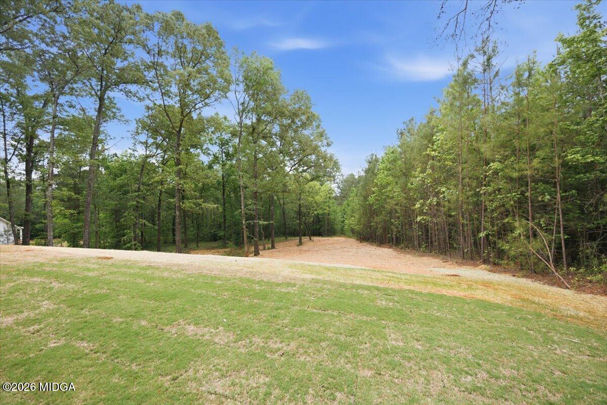 2778 Boxankle Road Forsyth, GA 31029 - Photo 20 of 21 25-5W7A7211