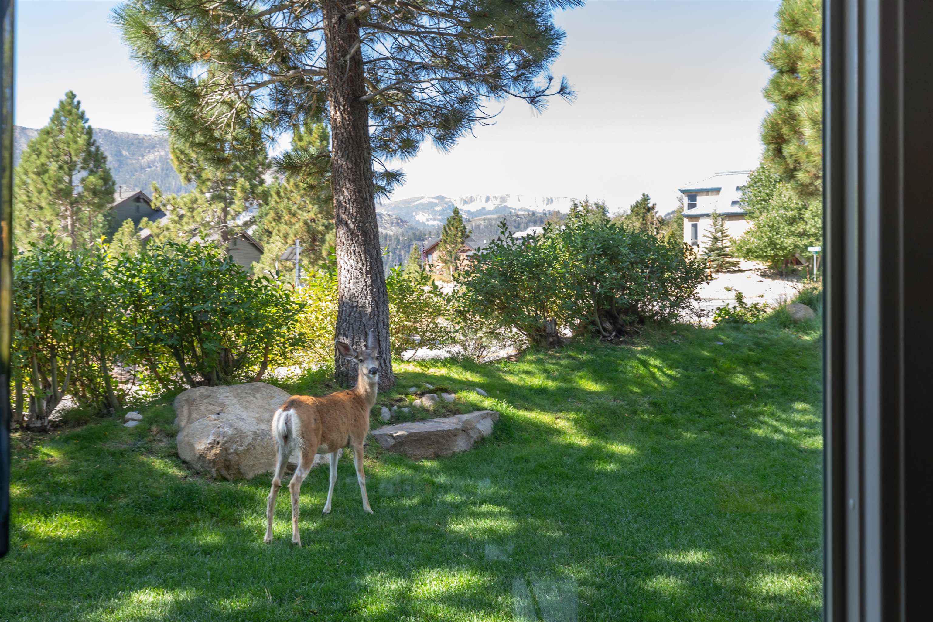 3600 Chateau Road, Unit 4 Mammoth Lakes, CA 93546 - Photo 34 of 42 Gallery Image 34