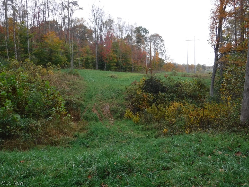 State Route26 Wingett Run Reno, OH 45773 - Photo 24 of 34 East backside of property above neighboring farm fields. Deer trails crisscross this area.