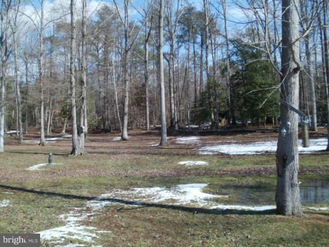 15063 Millbank Road King George, VA 22485 - Photo 5 of 29 Exterior (Rear)