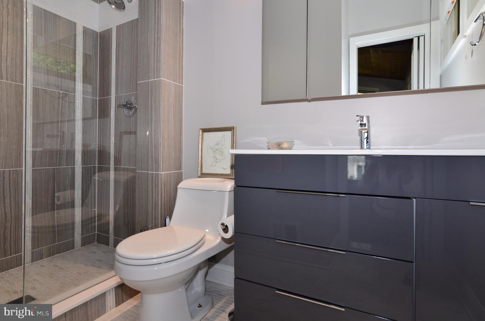 10920 Thanlet Lane Reston, VA 20190 - Photo 18 of 30 Contemporary & Elegant MBA.