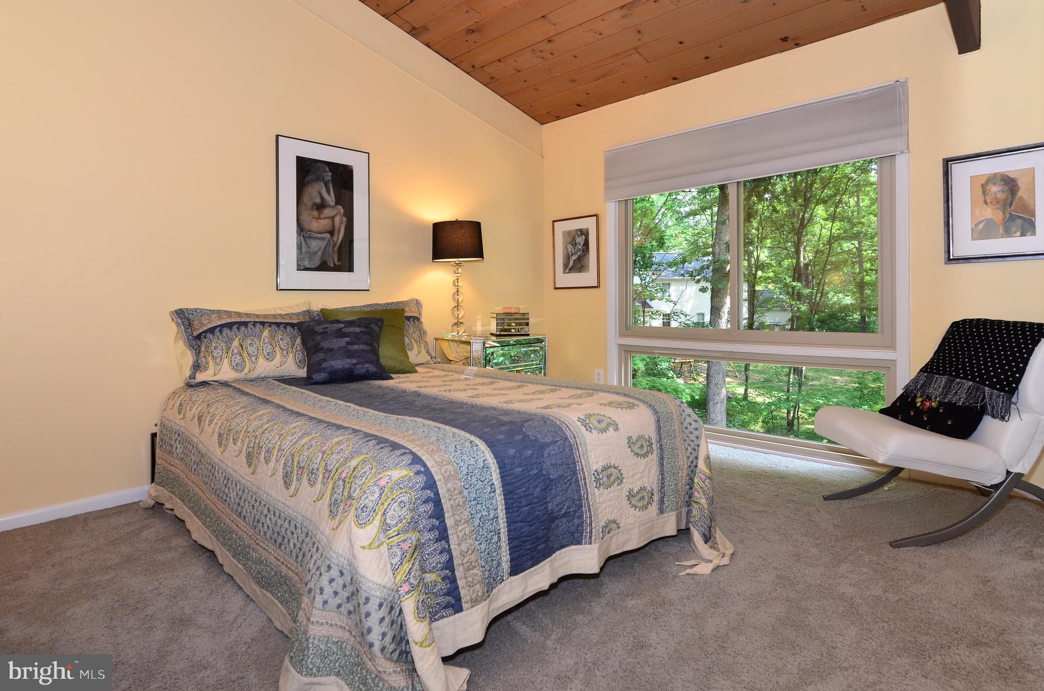 10920 Thanlet Lane Reston, VA 20190 - Photo 19 of 30 Large, Bright & Cheerful Guest Room .