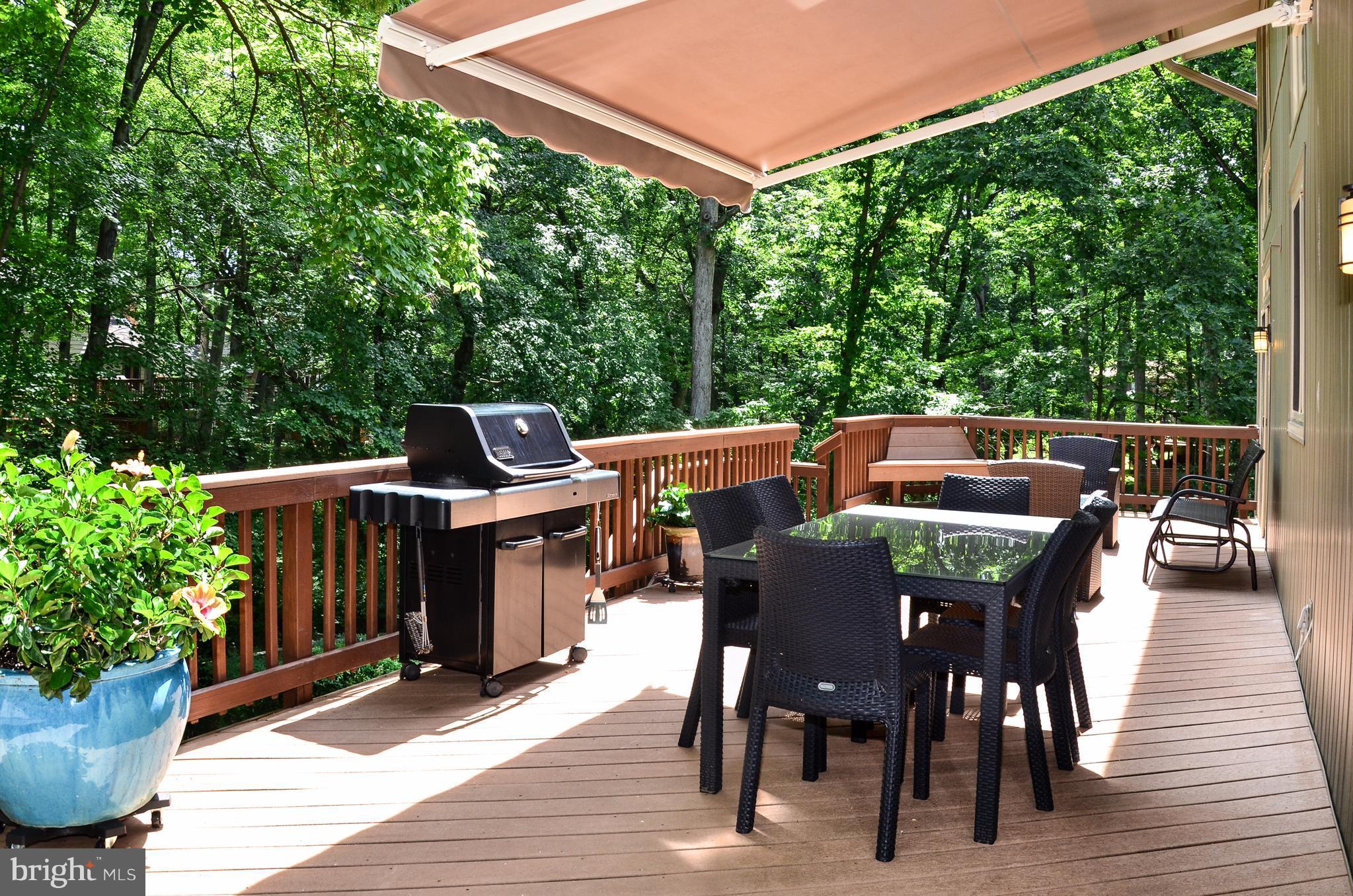 10920 Thanlet Lane Reston, VA 20190 - Photo 28 of 30 Relax & Enjoy Beautiful Backyard.