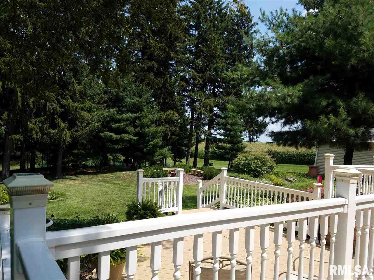 840 Blackjack Road Blandinsville, IL 61420 - Photo 21 of 28