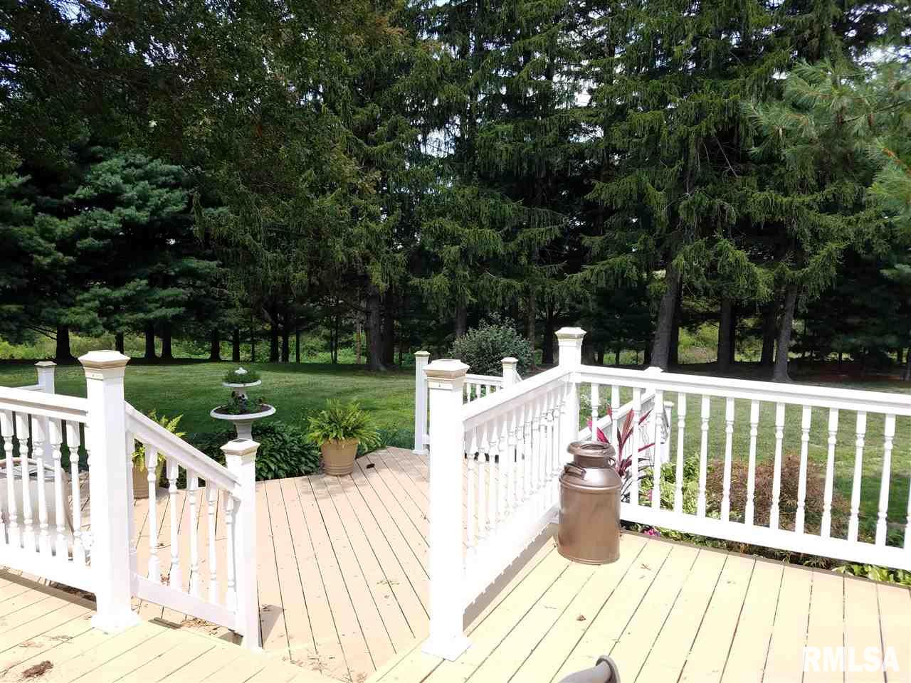 840 Blackjack Road Blandinsville, IL 61420 - Photo 22 of 28