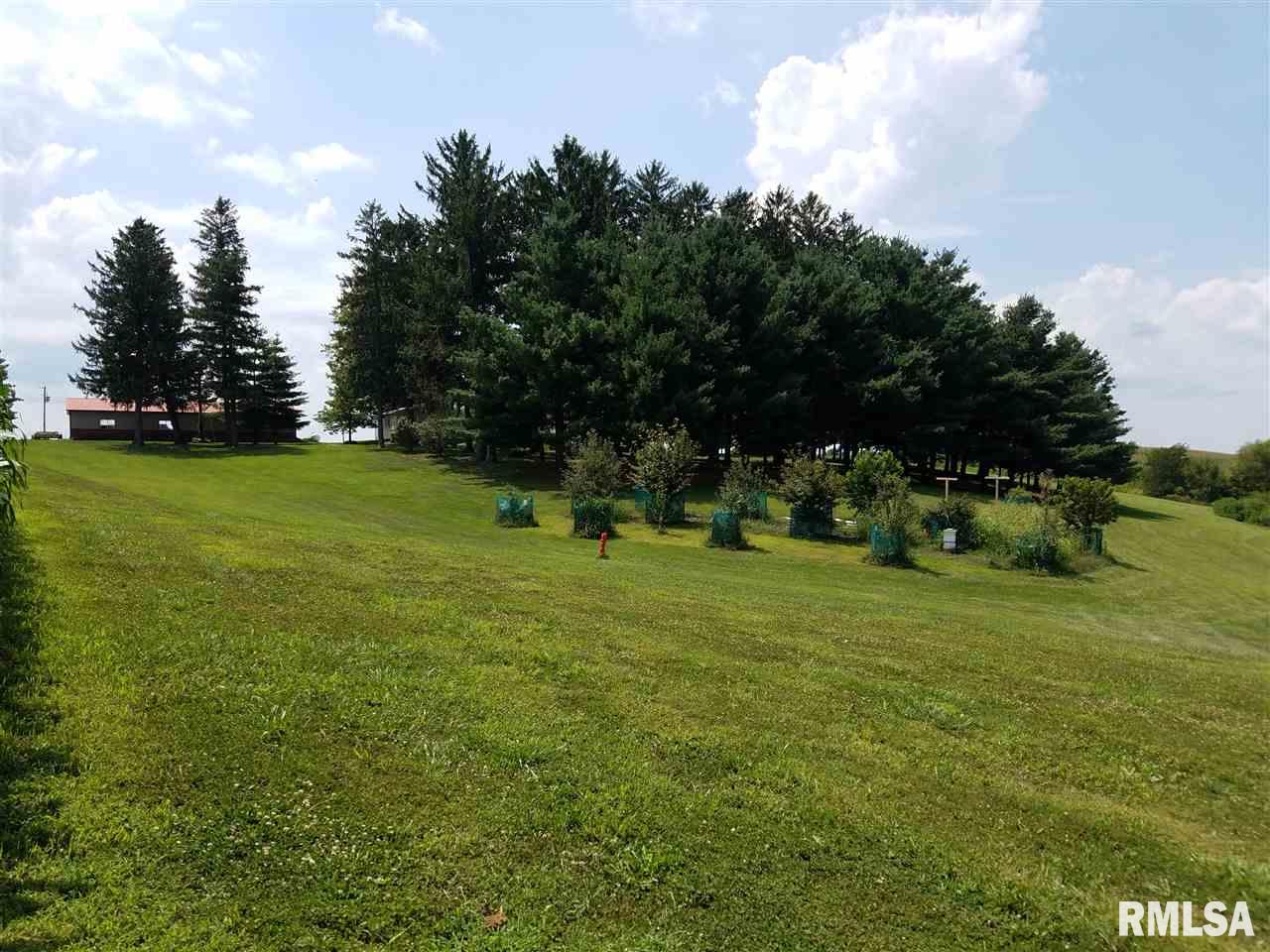 840 Blackjack Road Blandinsville, IL 61420 - Photo 25 of 28