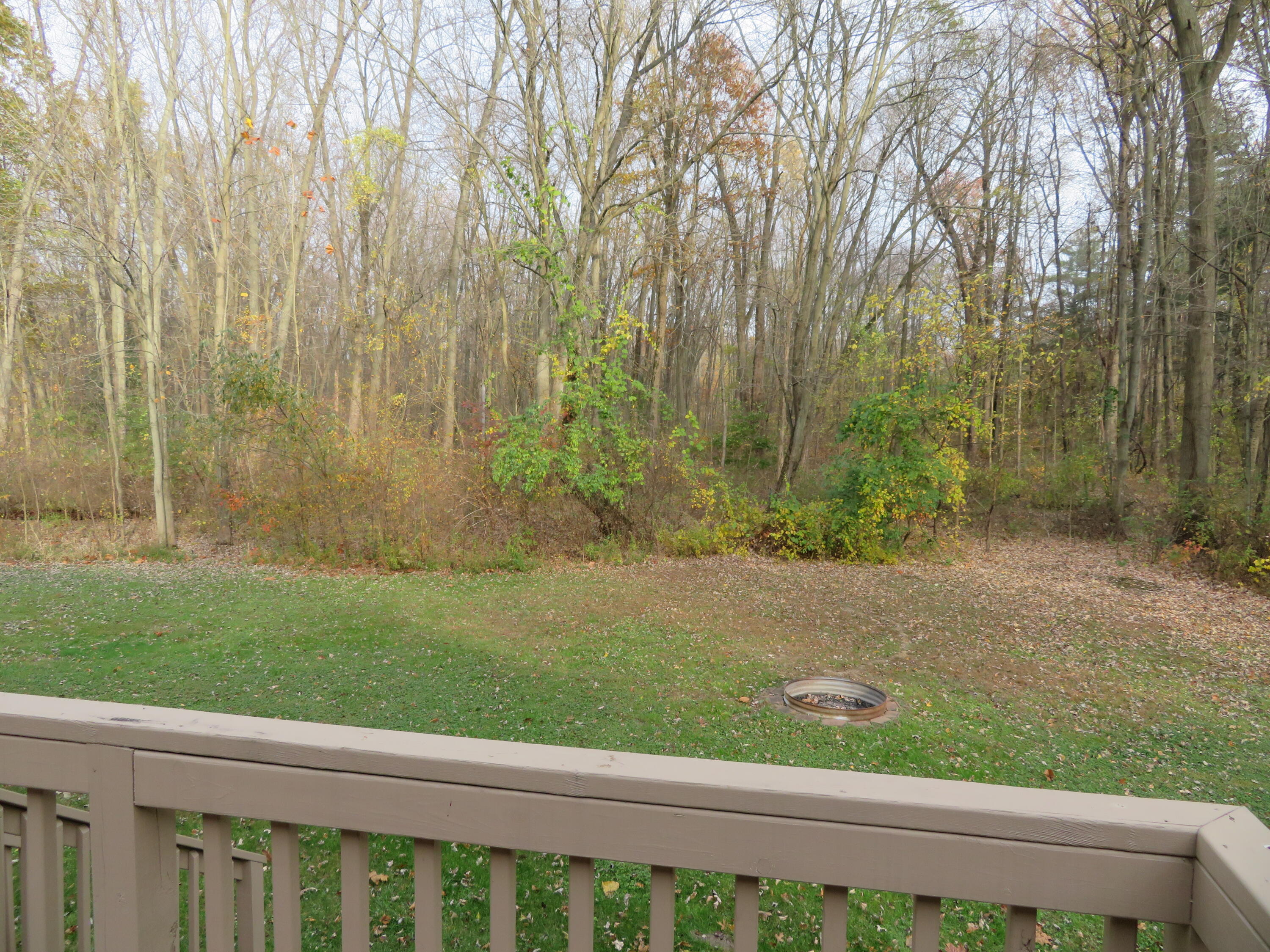 44947 Willis Road Belleville, MI 48111 - Photo 6 of 35 IMG_9986