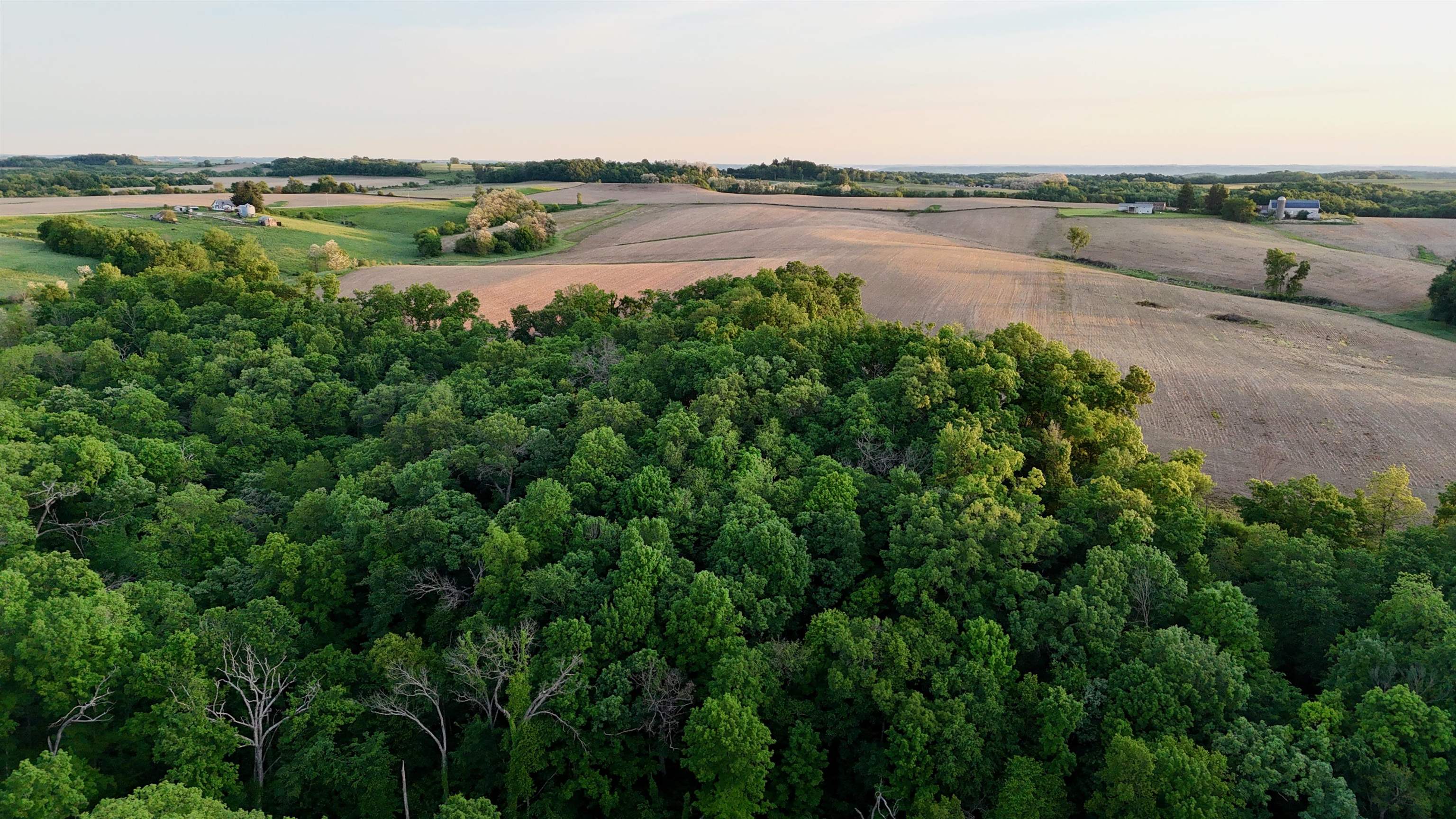 0 County T Boscobel, WI 53805 - Photo 18 of 30