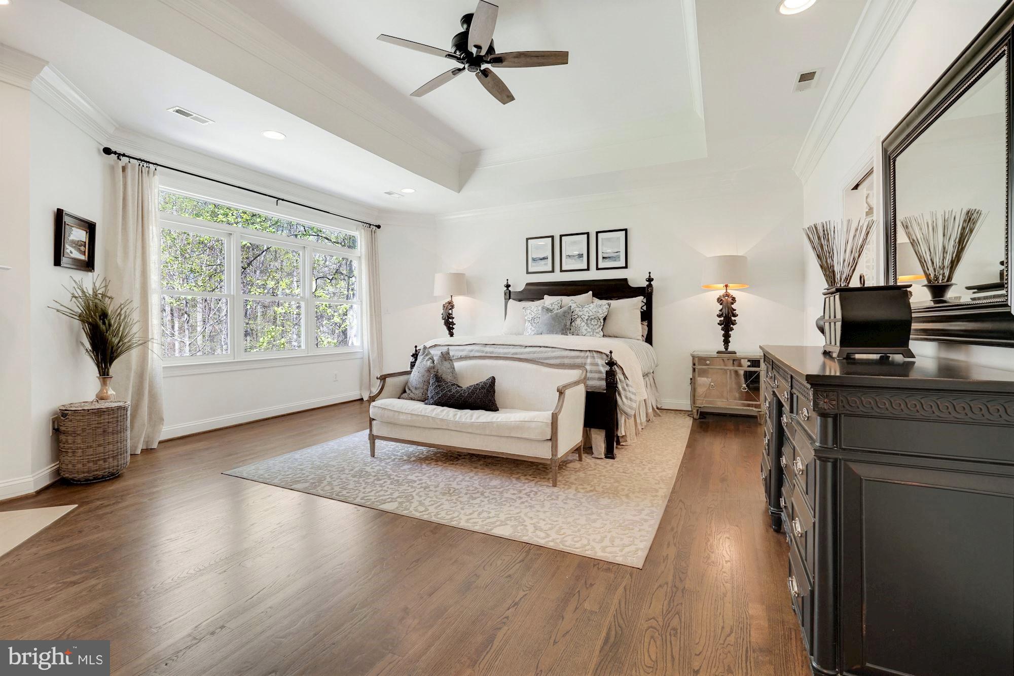 100 Chimney Ridge Place Sterling, VA 20165 - Photo 31 of 69 Sumptuous Owner's Suite w/tray ceiling