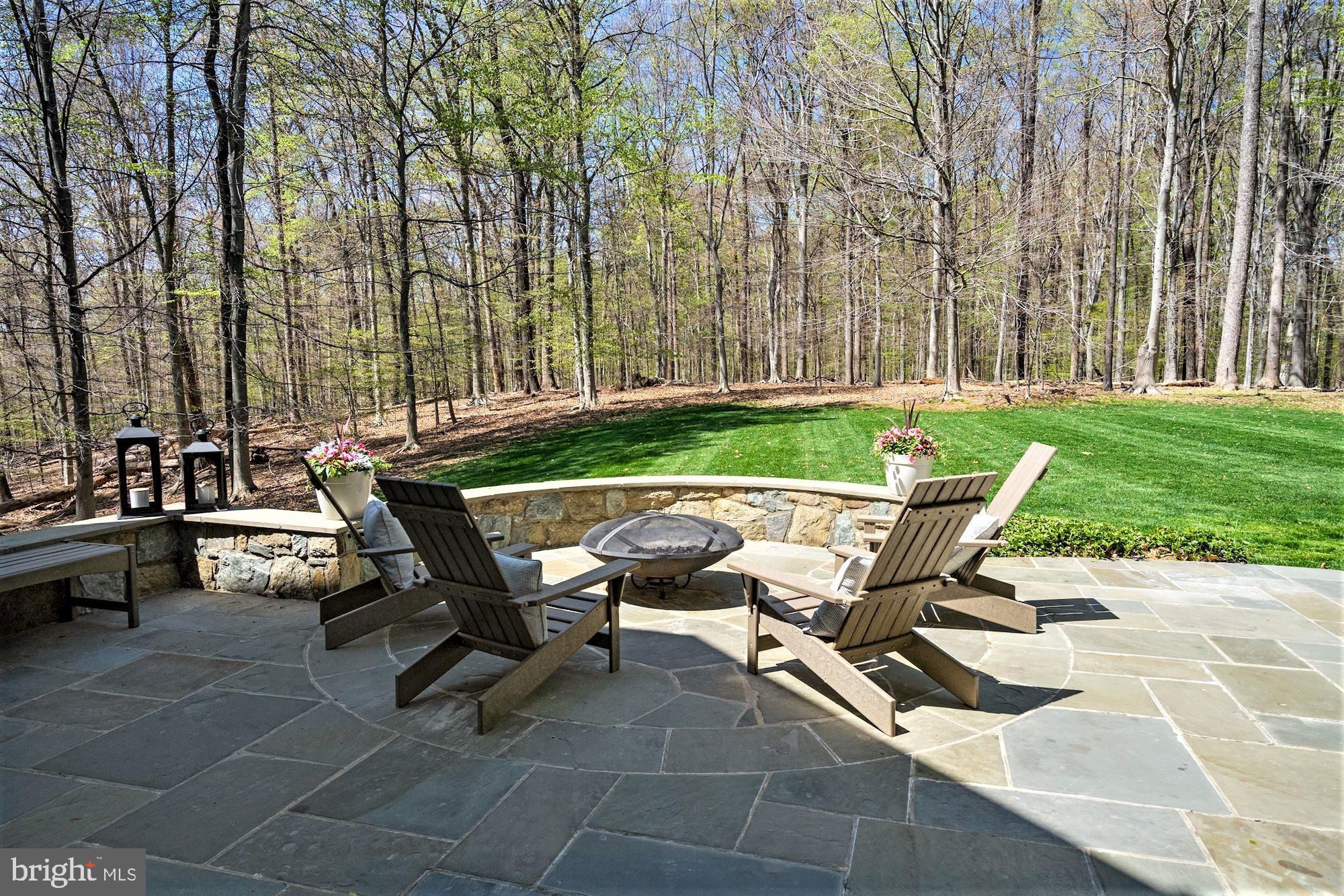100 Chimney Ridge Place Sterling, VA 20165 - Photo 61 of 69 Gallery Image 61