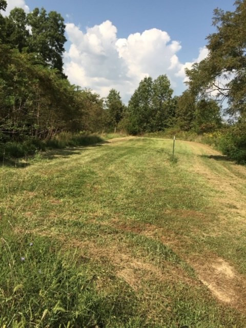 4932 Owenton Road Stamping Ground, KY 40379 - Photo 11 of 17 Gallery Image 11
