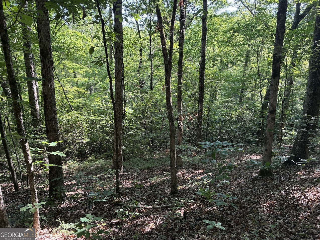 0 Creek Road, Unit LOT 4 Ashland, AL 36251 - Photo 6 of 26