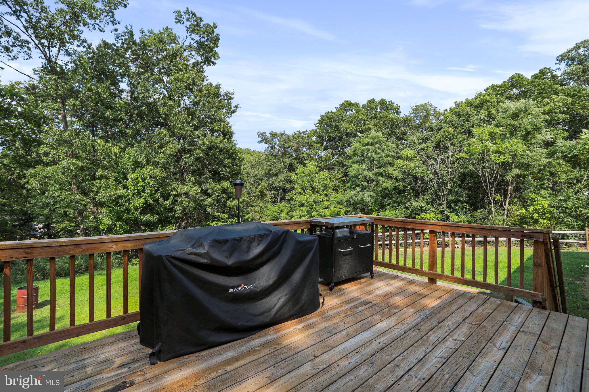 798 Strasburg Road Front Royal, VA 22630 - Photo 23 of 43 large rear deck