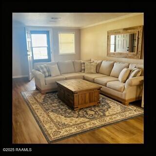 2189 Britany Highway Church Point, LA 70525 - Photo 9 of 40 IMG_5732