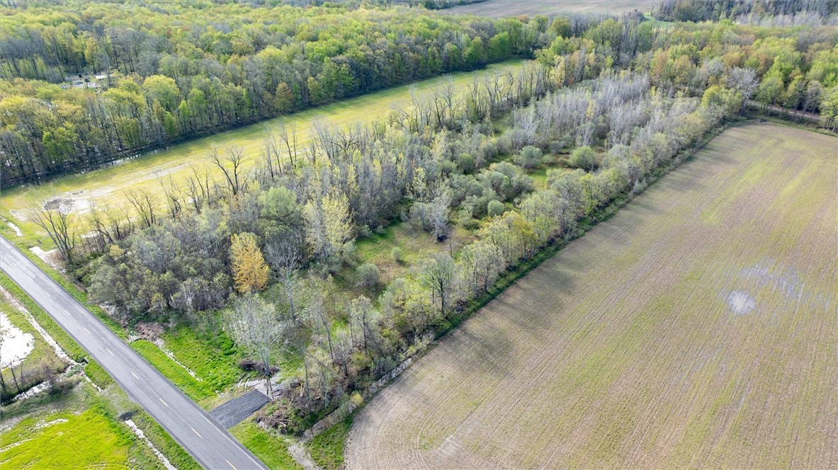 16126 Telegraph Road Murray, NY 14470 - Photo 27 of 50