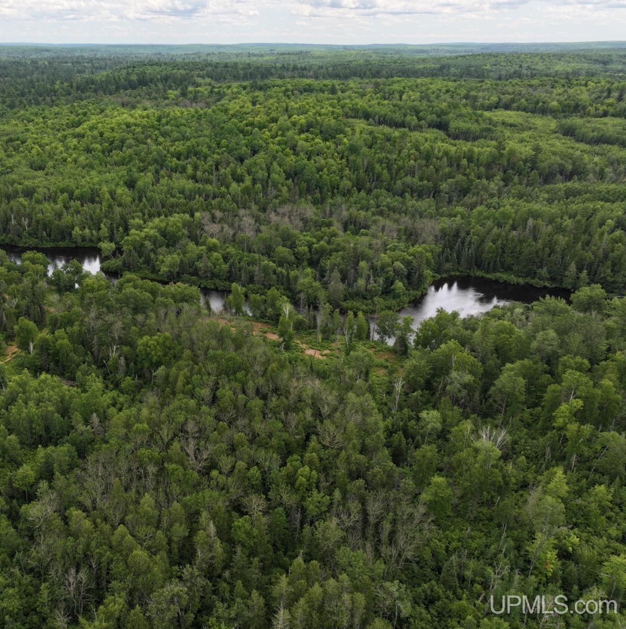 94-acres Off Bates Amasa Road Crystal Falls, MI 49920 - Photo 20 of 38