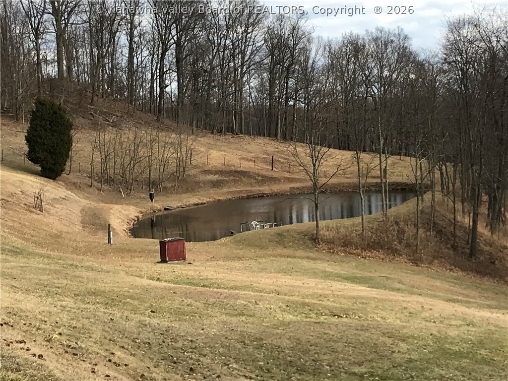 732 Pumice Road Clendenin, WV 25045 - Photo 27 of 30 Stocked pond with small dock. Three wells on the property for troughs.