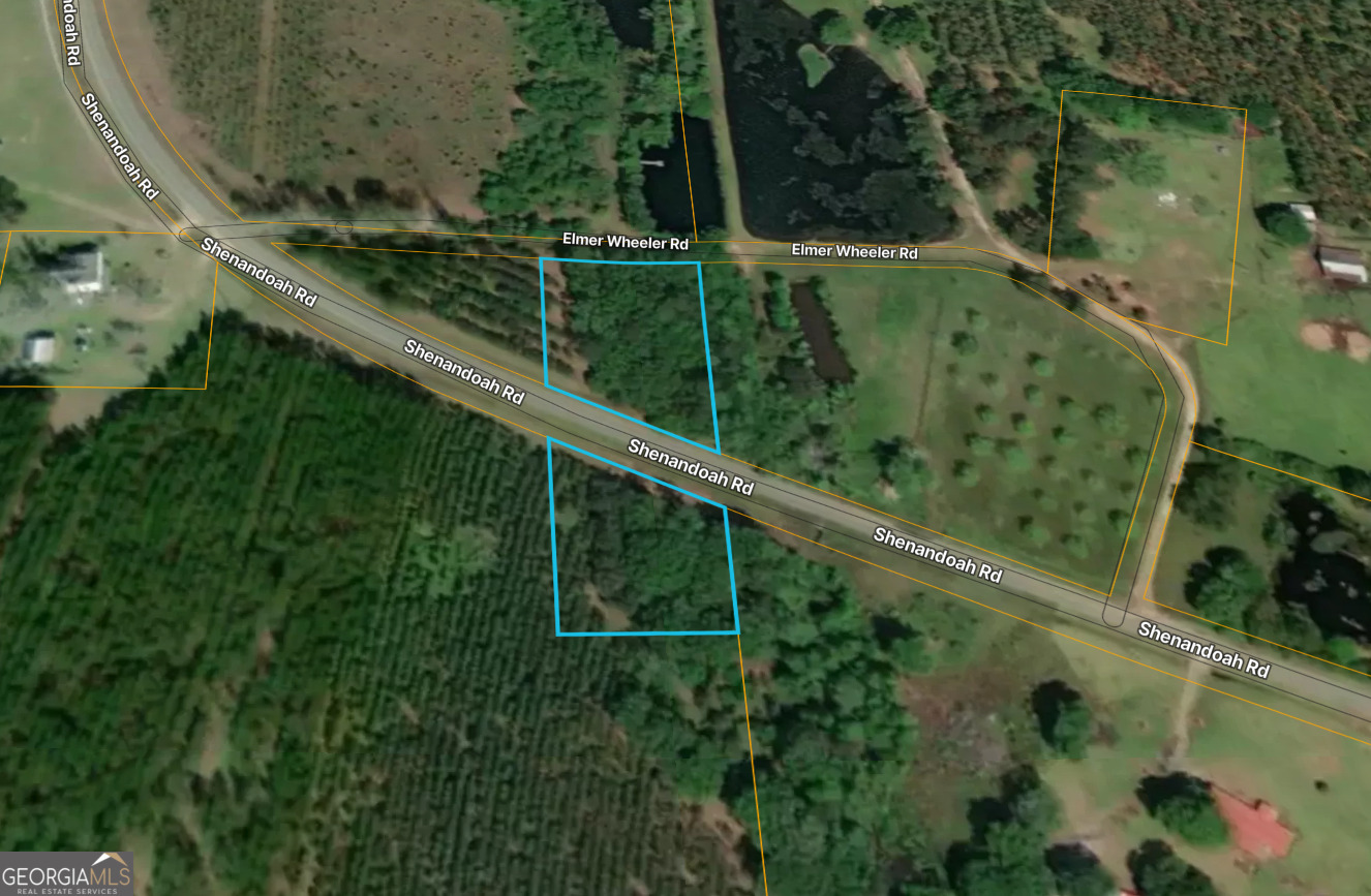 0 Shenandoah Road Alma, GA 31510 - Photo 2 of 2